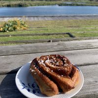   at Plantan Bístró in Reykjavik