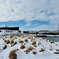 Exterior and park  at Plantan Bístró in Reykjavik