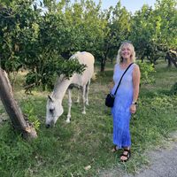 Citrus grove in the grounds   at B&B La Villa in Emilia-romagna