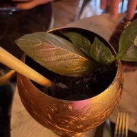 Salome cocktail  at Bubita Bar in Barcelona