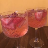 pink gin and tonic! at Bubita Bar in Barcelona