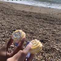 Viennese whirls  at Harbours Vegan Bakery in Lancing