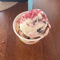 Vegan Ice   at Bak til Livet in Rogaland