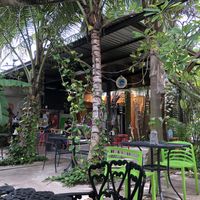 Beautiful outdoor dining area  at Avocado Vegetariano - Santa Gertrudis Copo in Merida