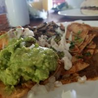 chilaquiles with extra giluacamole from my friends dish lol at Avocado Vegetariano - Santa Gertrudis Copo in Merida