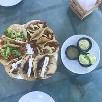 Tacos  at Avocado Vegetariano - Santa Gertrudis Copo in Merida