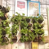 Before relocated Miss Green Restaurant at Miss Green - Dunhua in Taipei