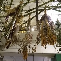   at Miss Green - Dunhua in Taipei