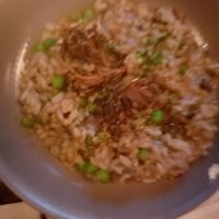 Mushroom risotto at Charlie Was a Sinner in Philadelphia