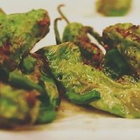 Shishito peppers! Perfect appetizer! at V Street in Philadelphia