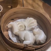 Vegan dumplings 🥟   at Foodhall MOUT in Hilversum