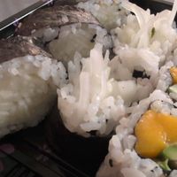 Cucumber rolls and mango avocado rolls at Kawa Sushi in Palm Coast