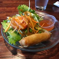 Ginger dressing, vegetable spring roll.  at Bangkok Garden in Norfolk