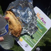 I had the Iraqi sanbusa at Upohar Vegetarian Restaurant in Lancaster