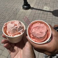 Strawberry and Berry Aloha vegan gelato  at Leo Gelato in Florida