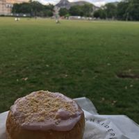 donut in the nearby park at Considerit in Edinburgh