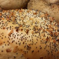 All the bagels (except for the egg ones) are vegan! at Tabor Bagels in Morris Plains