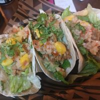 Vegan mango tacos with pulled jackfruit. at Zocalo in Uppsala