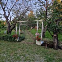  at Trattoria Gracco in Emilia-romagna