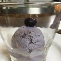 Vegan blueberry ice cream  at The Seeds of Life in Ubud
