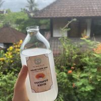 Their own kefir   at The Seeds of Life in Ubud