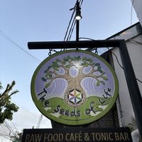   at The Seeds of Life in Ubud