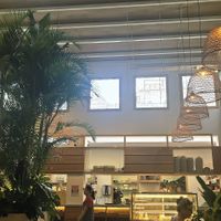 Interior at 2 Roots Plant-Based Café in Ho Chi Minh City