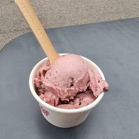 Vegan amarena chocolate at Roskilde Ismejeri and Iscafe in Roskilde