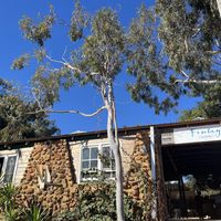 Exterior   at Finlay's Kalbarri in Kalbarri