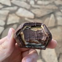 Bombom ferreiro   at VeGan-se in Brasilia