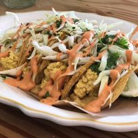 The BEST vegan breakfast tacos ever at Kitchen Mouse in Los Angeles