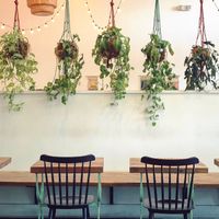 Adorable aesthetic inside at Kitchen Mouse in Los Angeles