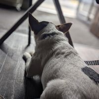  at Ground in Virginia