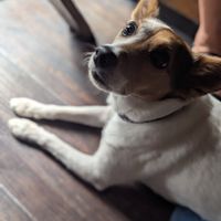  at Ground in Virginia