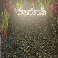  at Barletta - Copacabana in Rio De Janeiro