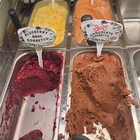 Blueberry Basil,  Passion Fruit, Guava, and Chocolate all are Dairy Free and Gluten Free at Freya's in Rockport
