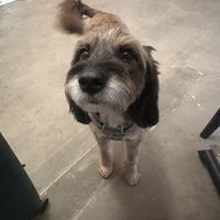   at Boris & Horton in New York