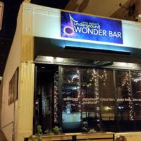 Underground Wonder Bar Chicago's best Live Music Venue! Underground Wonder Bar has Live music 365 days a year, full menu with great organic / Vegetarian and Vegan options.  at Underground Wonder Bar in Chicago