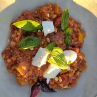 Ancient grain risotto with basil and vegan feta at Hafner Wirtshaus in Neuschoenau