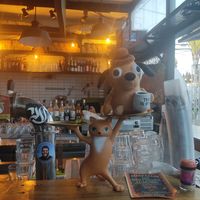 this is fine 🥲 at Beer Bazaar in Jerusalem District