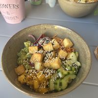 Poke bowl  at Monkey Bowl Murten in Freiburg