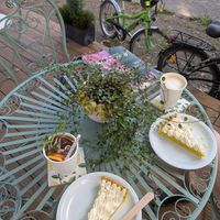  at LEMON CAFE in Szczecin