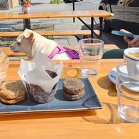  at Cantine Panella in Montreal