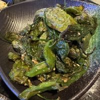 Shishito peppers need to be modified to be vegan ask and they are happy to oblige  at Sushi Street in Keller