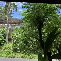 view from table  at Prima Warung in Ubud