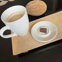 Jaguar drinking chocolate and mint alegria   at ChocoSol in Toronto