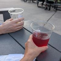 Cider & Beer at Lucky Tree in Raleigh
