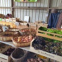 Fresh veggies for sale at Les Hauts de Beg Nod in Ploubazlanec