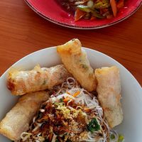 Veggie-tofu stir fry and rice noodles with hand-made spring rolls at Việt in Bretten
