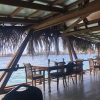 Outdoor seating  at Leaf Eaters Cafe in Bocas Del Toro